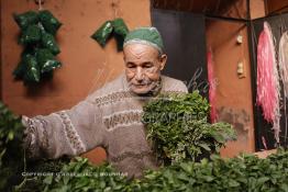 Image du Maroc Professionnelle de  Un des anciens vendeurs de naanah (Menthe) prépare pour un client une botte de menthe fraiche et de plantes aromatiques à l’entrée du souk Semmarine de Marrakech, le 11 Décembre 2011. Jadis quand les autocars avaient leur terminus sur la place Jemaa Al fana, lors d’un court ou long séjour dans la ville ocre, la plupart des visiteurs se ravitaillaient en menthe fraiche et en plantes aromatiques en guise de cadeau (barouk) de Marrakech. De nombreux commerçants étaient installés à l’entrée du Souk Semmarine. Ils vendaient aussi ces mêmes plantes séchées par les infusions. (Photo / Abdeljalil Bounhar)

 